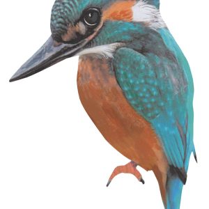 Sticky Tales | Muursticker IJsvogel Bella